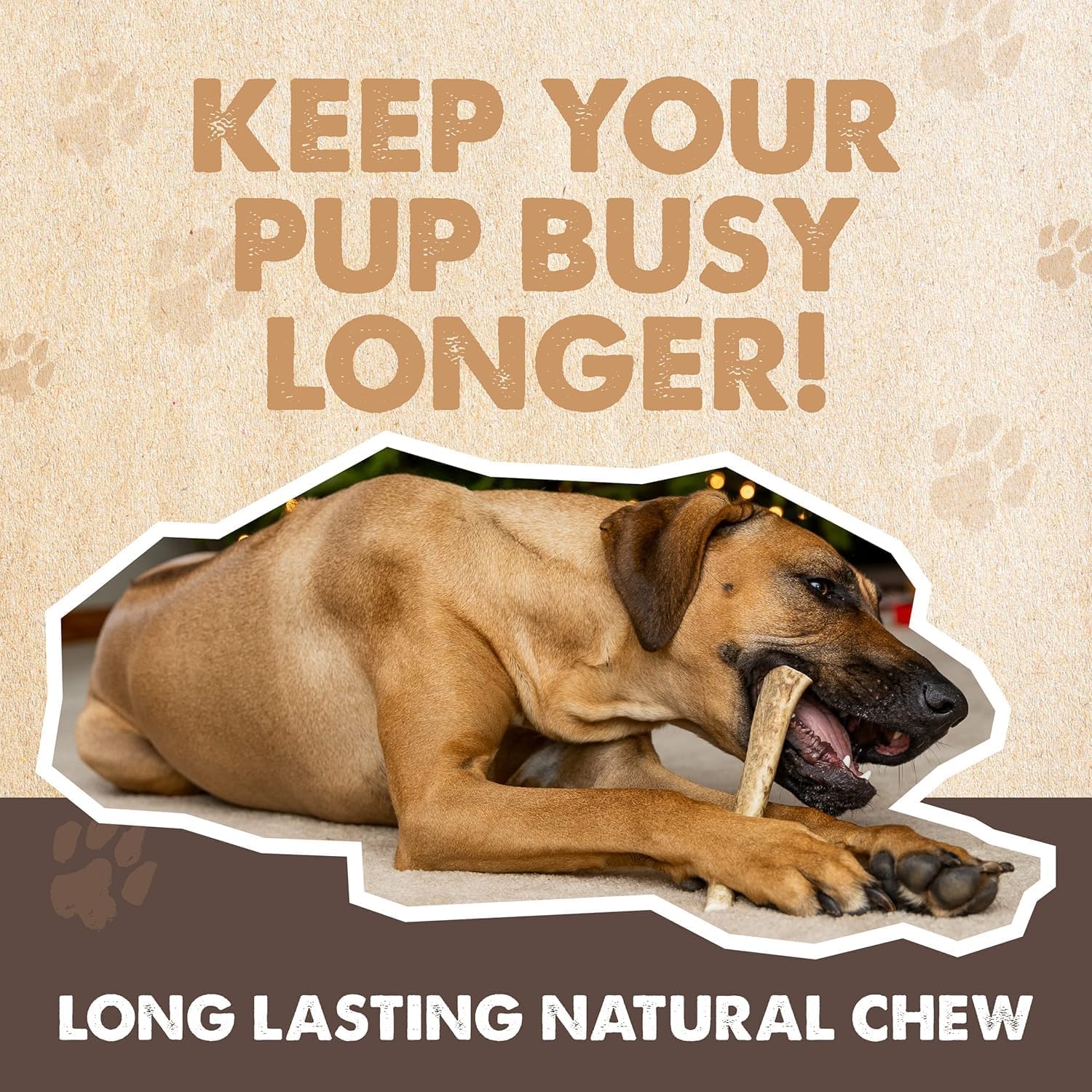 Mighty Paw Split Elk Antlers for Dogs (Sourced in The USA) | 1 Whole Monster 8"+ Long Lasting Bones for Aggressive Chewers - Naturally Shed Split Deer Antler for Dogs - Low Odor Chews (Pack of 1)