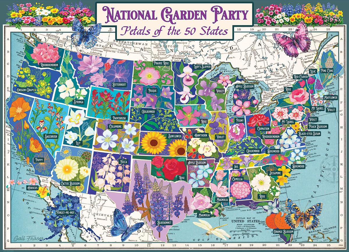 Amazon.com: National Garden Party : Toys & Games