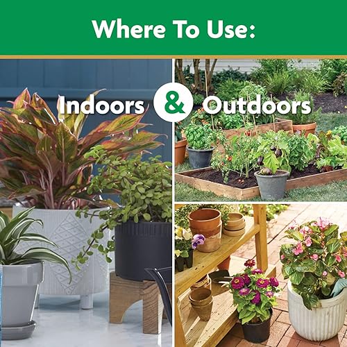 Miniatura 5 de Miracle-Gro - Alimento vegetal soluble en agua, 8 oz.