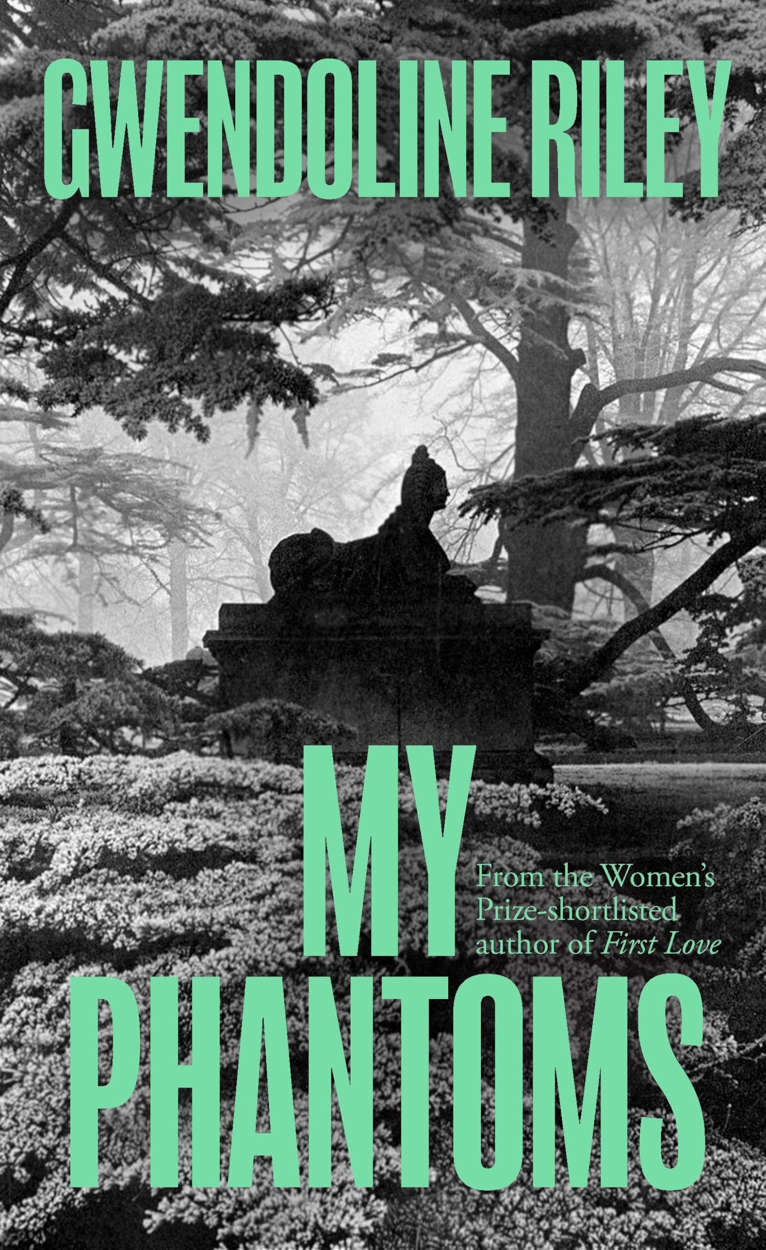 Buy My Phantoms — BookShops.in