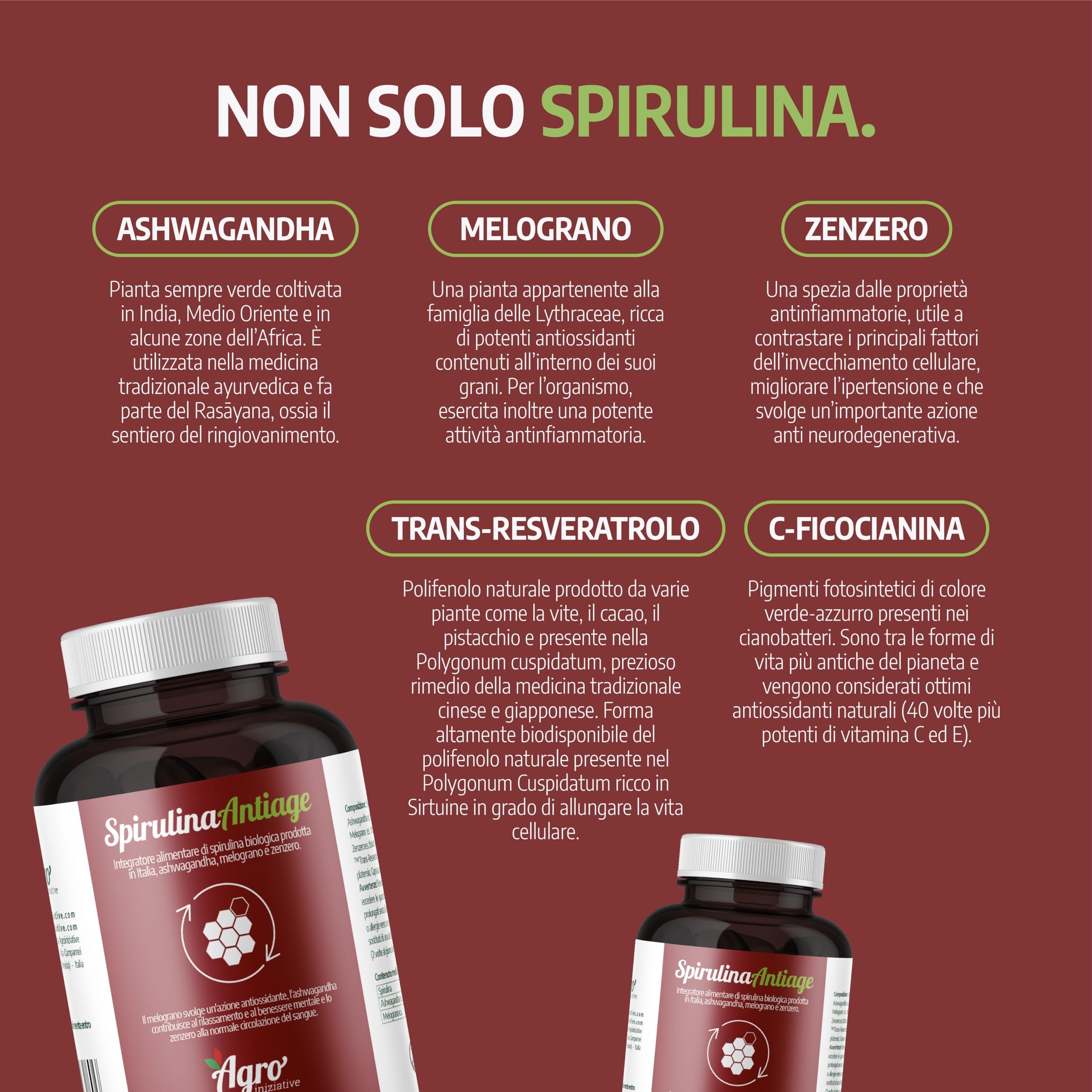 AGROINIZIATIVE SPIRULINA ANTIAGE 100 Cps 60 G Alga Spirulina Bio Senza Glutine Senza Iodio Combatte Radicali Liberi e Ossidazione Con Ashwagandha Zenzero Ficocianina Resveratrolo PRODOTTA IN ITALIA