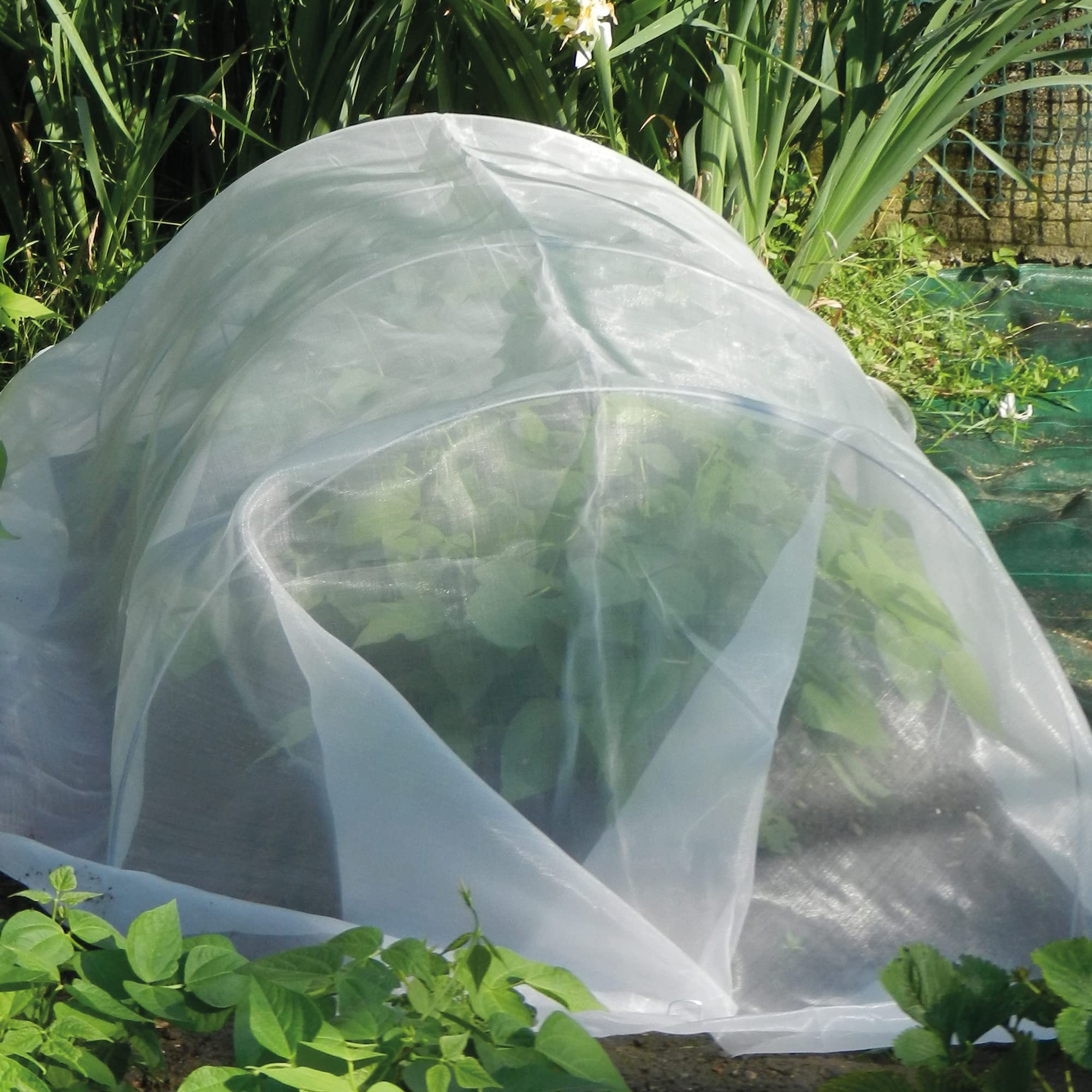 TENAX Microfender 2,00x5 m Neutral, Insektenschutznetz und Blattlausschutz, Schützt Früchte und Kulturen vor Blattläusen