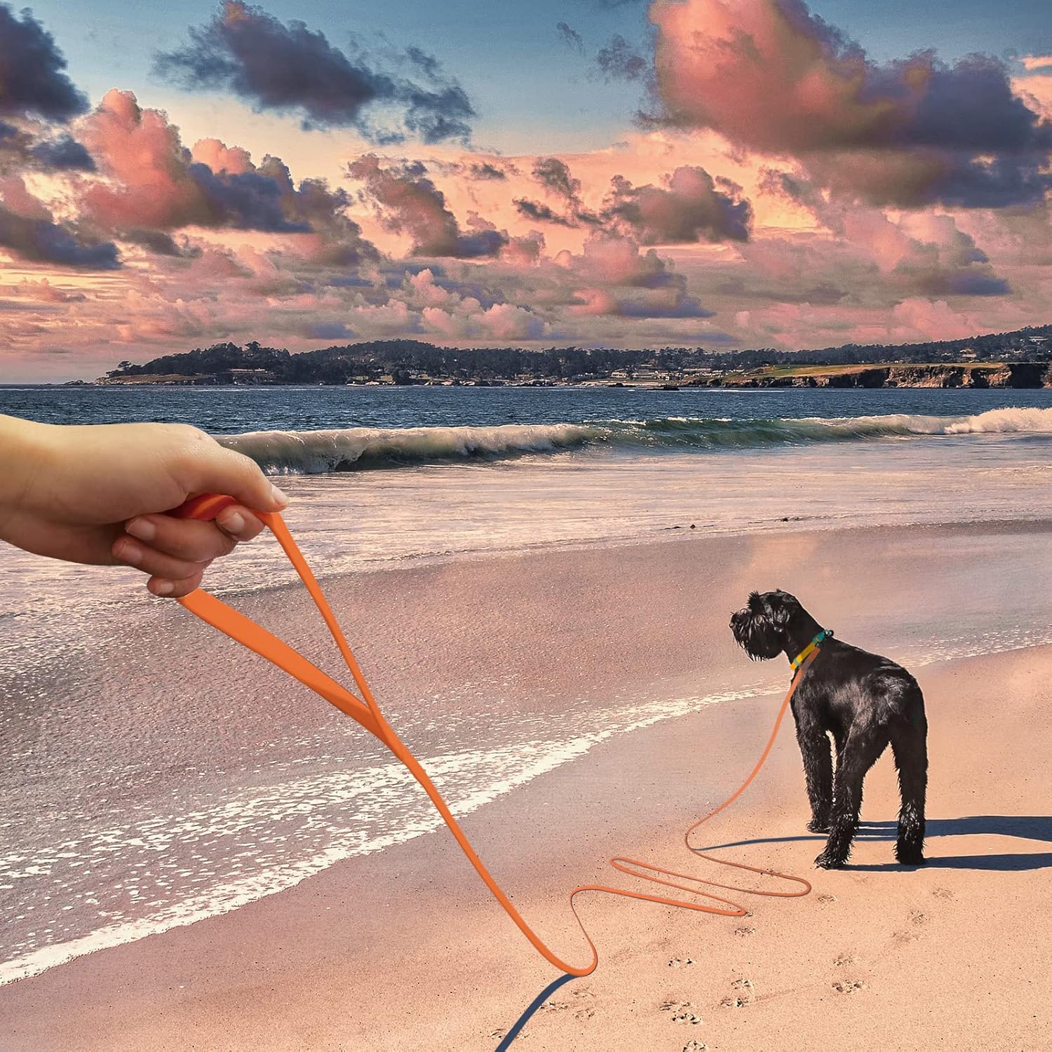Wolfone 50ft Orange Long Leash - Waterproof Training Dog Leash for Recall, Swimming, Camping, Beach, Hunting, Walking