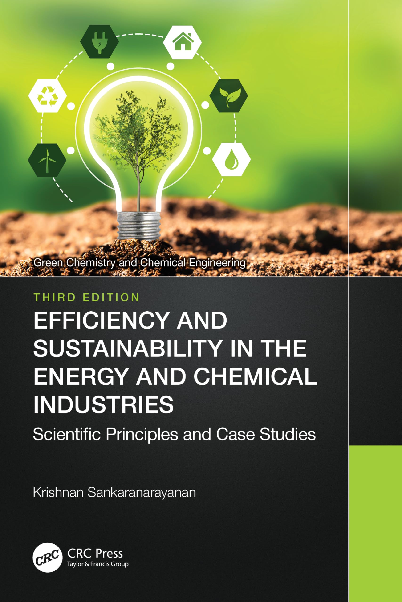 Efficiency and Sustainability in the Energy and Chemical Industries: Scientific Principles and Case Studies (Green Chemistry and Chemical Engineering)