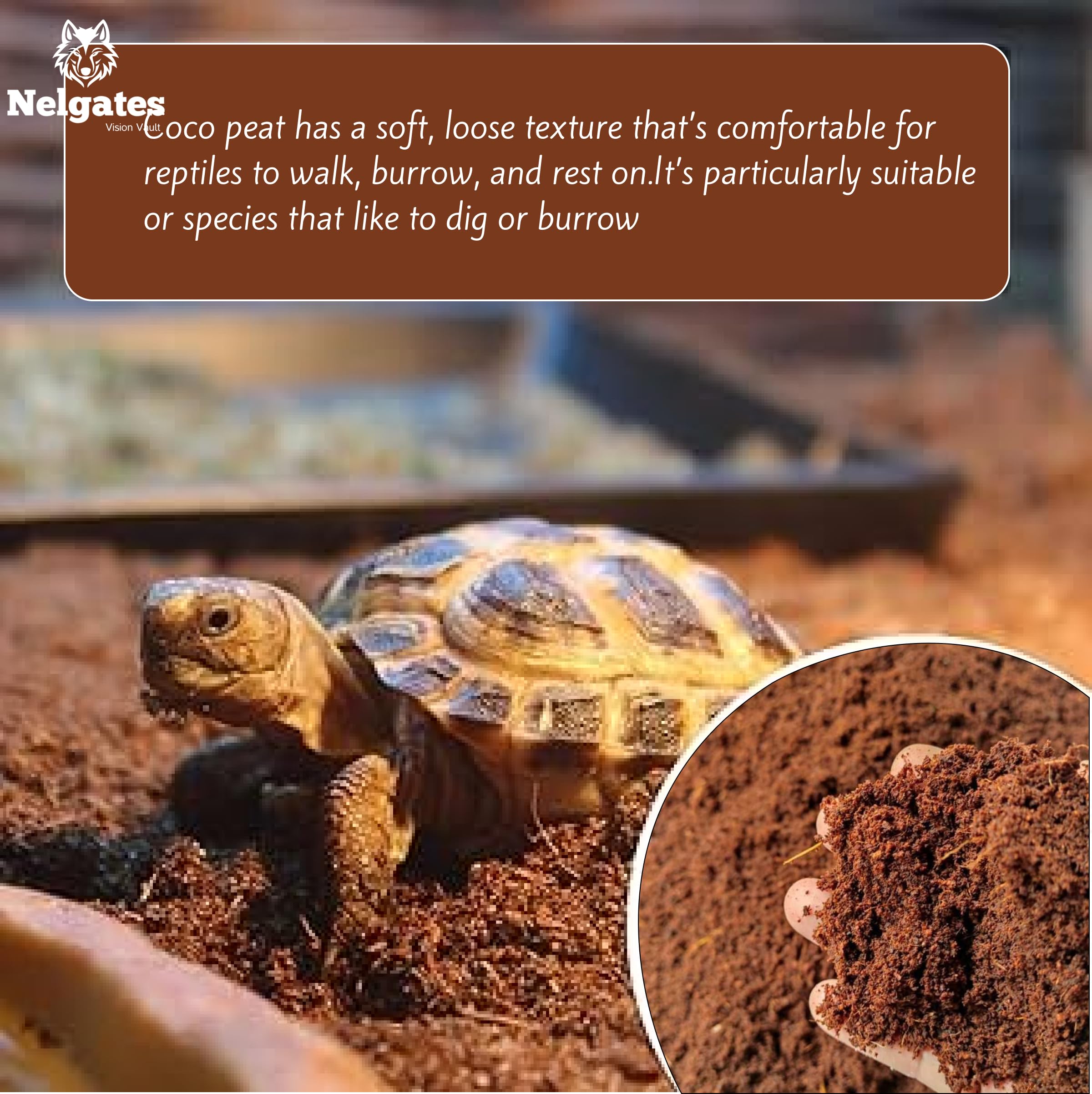 Nelgates Coco peat for Reptiles Bedding 5kg Coco peat Terrarium Substrate for Ball Python Frog Snake Gecko Hermit Crab Tortoise 2