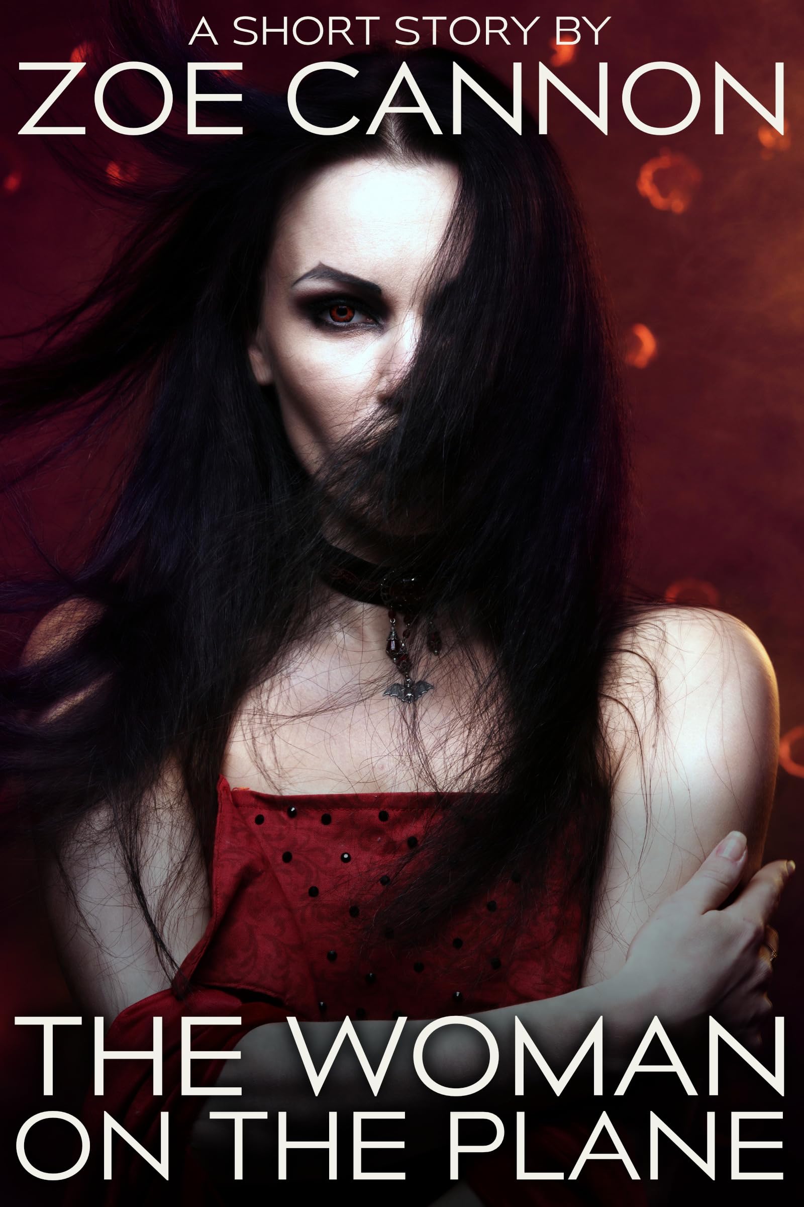 Cover of The Woman on the Plane