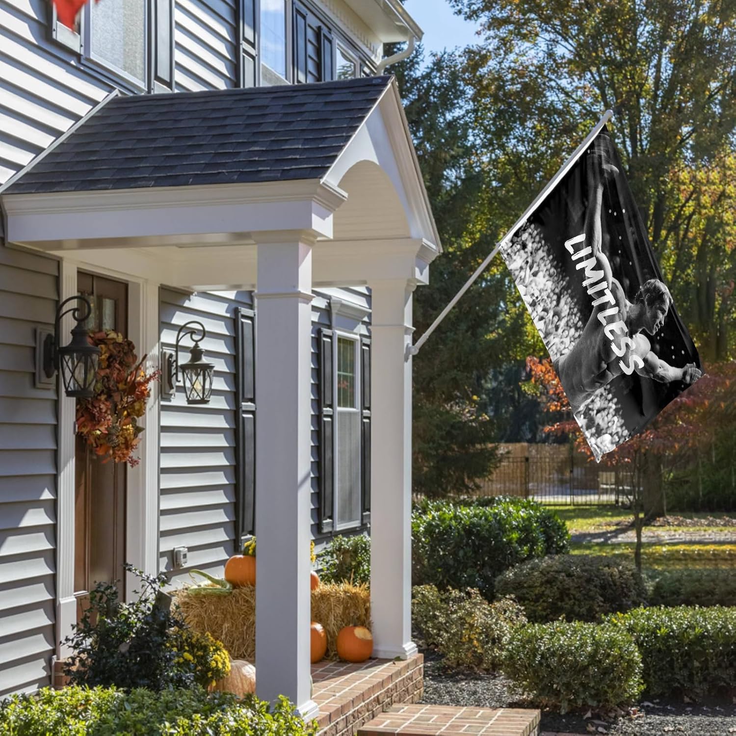 Schwarzenegger Flag - Limitless 3x5 Ft Funny Flag Inspirational Banner for Office Gym Wall Decor - Image 7