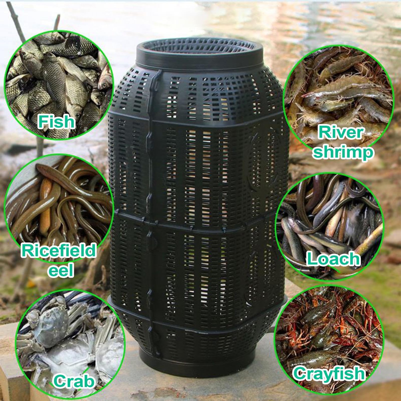 Trappole Per Pesce Trappola Esche Leggera | Attrezzo Da Pesca, Gabbia Per Granchi Per Acqua Salata e Lago Stagno Anguille Gamberi Pesci Pesca All'aperto