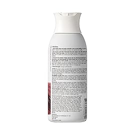 Kiss Express Semi-Permanent Hair Color 100mL (3.5 US fl.oz) (2 Count, Black Cherry)