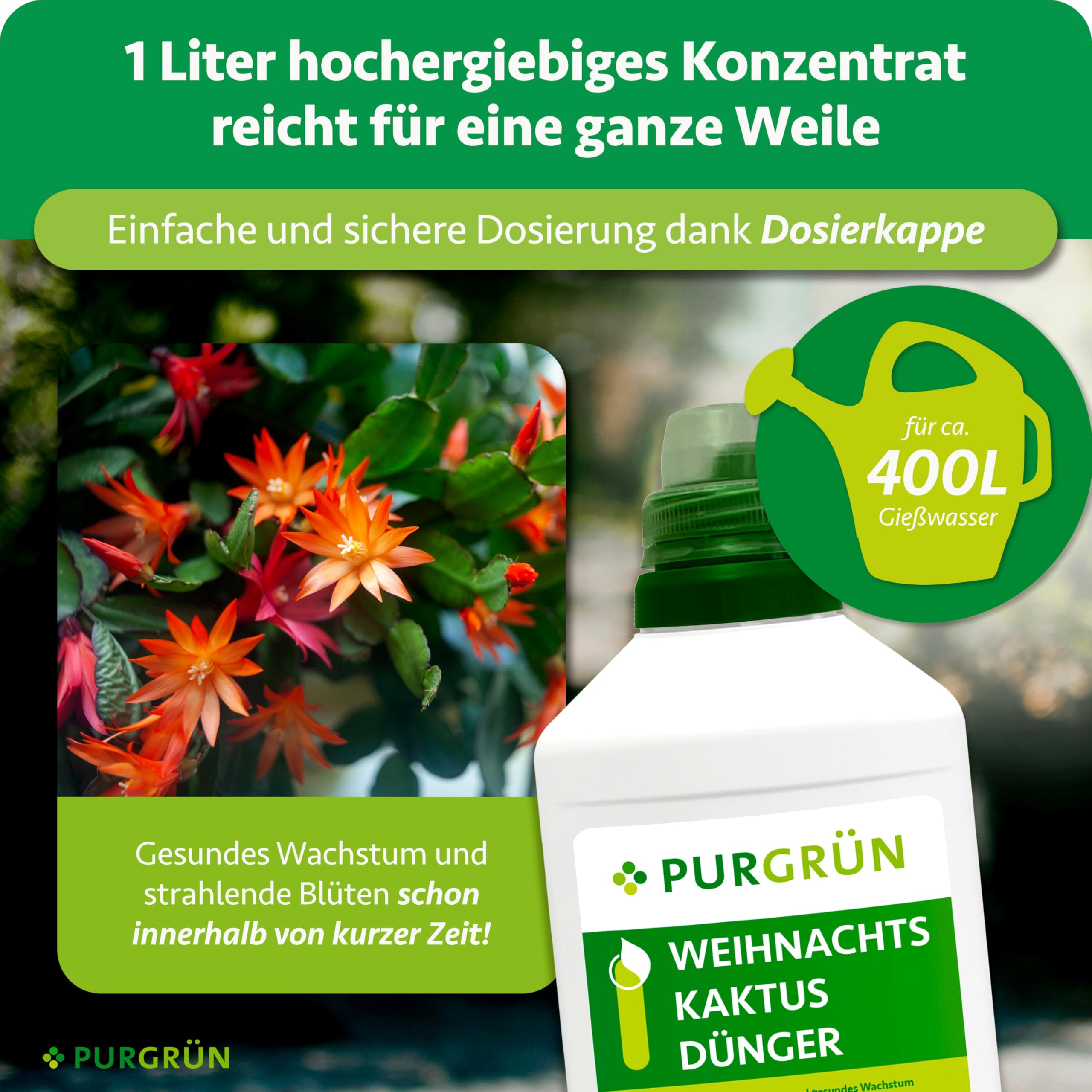 Weihnachtskaktus-Dünger 1 Liter – Spurennährstoffe für prächtige Blüten – Extra Kalium stärkt die Widerstandskraft – Ergiebiges Konzentrat für 400 Liter Gießwasser – Premium-Flüssigdünger