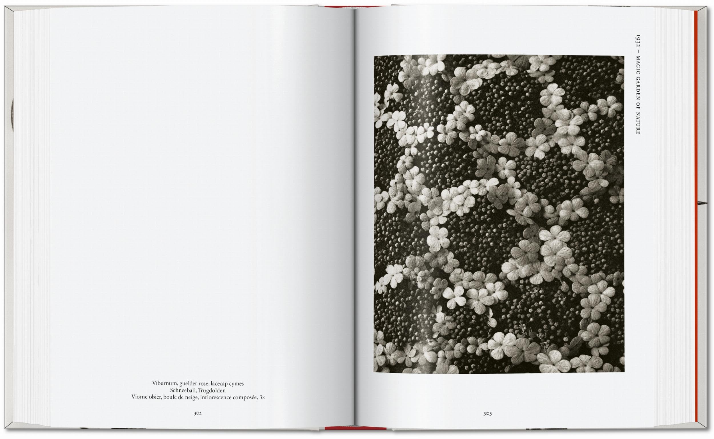 Karl Blossfeldt. The Complete Published Work. 45th Ed. (45th Edition)