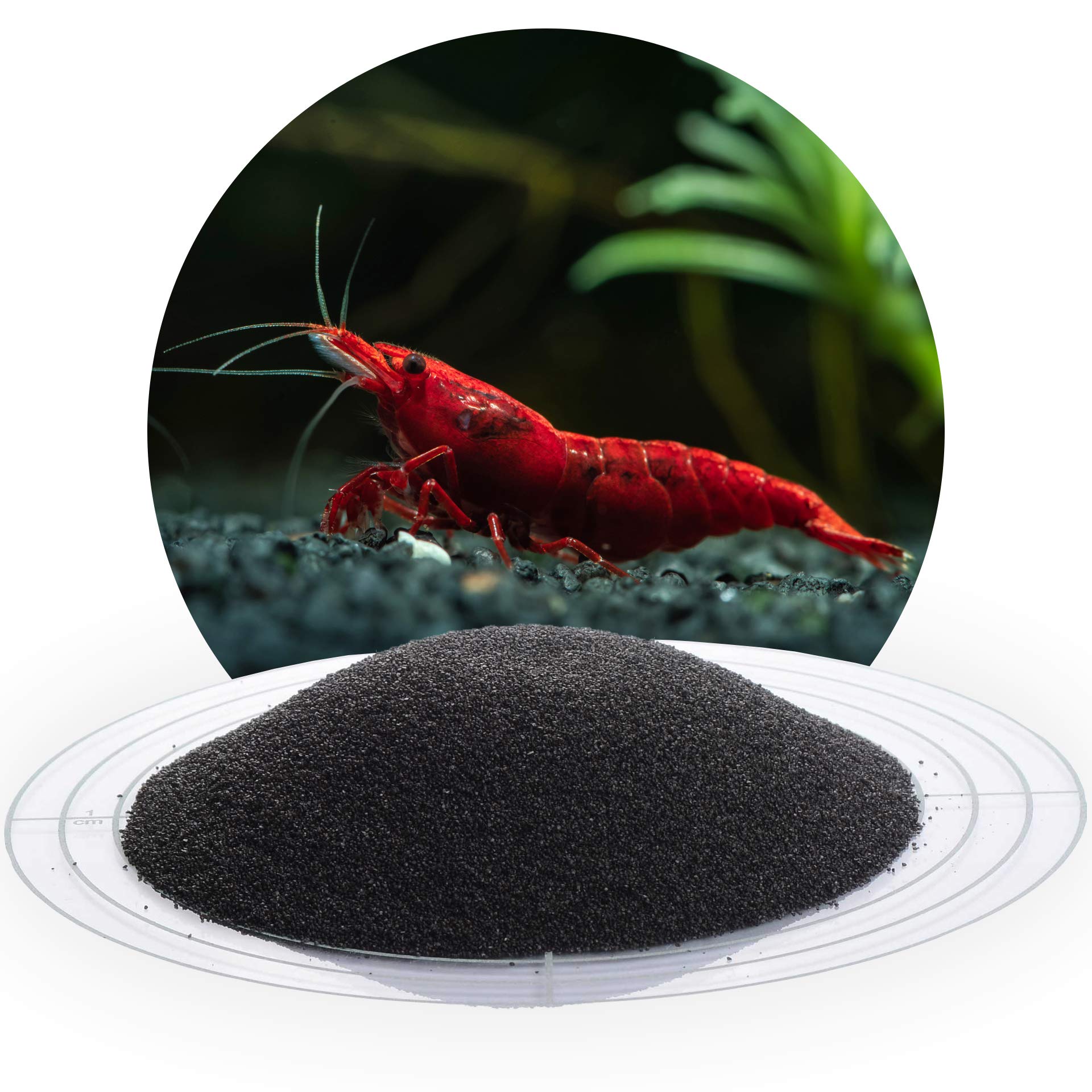 Schicker Mineral Aquariumsand schwarz 10 kg, feiner Aquariumkies mit Epoxidharz ummantelt, kantengerundeter Bodengrund, farbecht, Kies für Süßwasseraquarien & Meerwasseraquarien (0,4-0,8 mm)