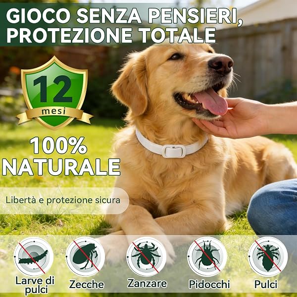 Anti-Parasitic Collar for Dogs, Effective Protection Dog Flea Collar, 100% Natural, Waterproof, Adjustable, Pesticide Collars for Small, Medium and Large Dogs to All Breeds 65 cm - 2