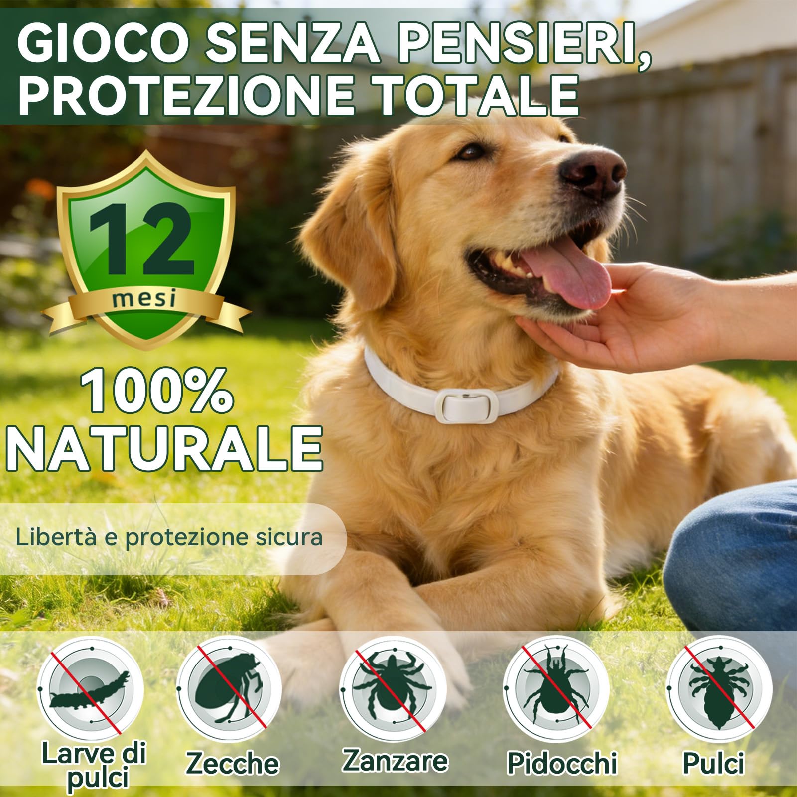 Collare Antiparassitario per Cani, Collare Antipulci Cane, Protezione Efficace, Naturale, Impermeabile, Regolabile, Collari Antiparassitari per Cani per Piccoli, Medi e Grandi a Tutte le Razze,65cm