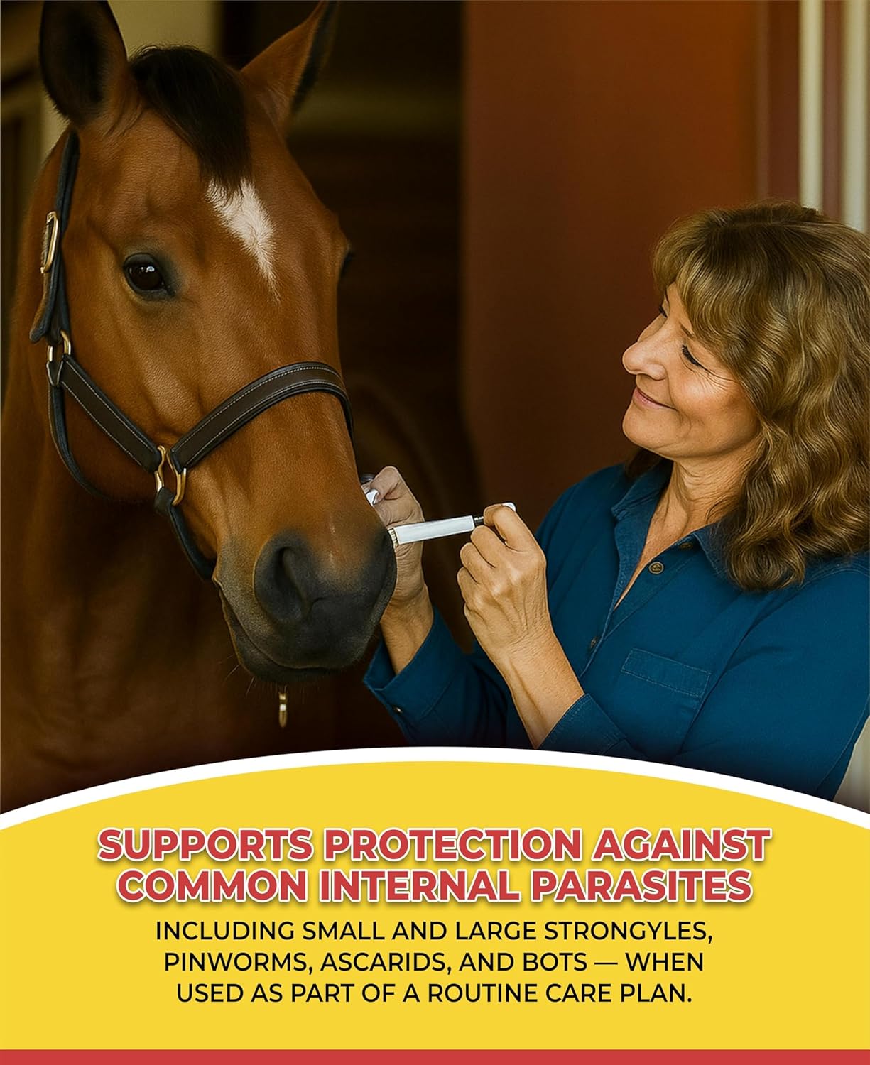 Horse Paste Gel 1.87% – Apple Flavored Oral Syringes – 6.08g Each – Adjustable Weight Markings – for Equine Use (9)