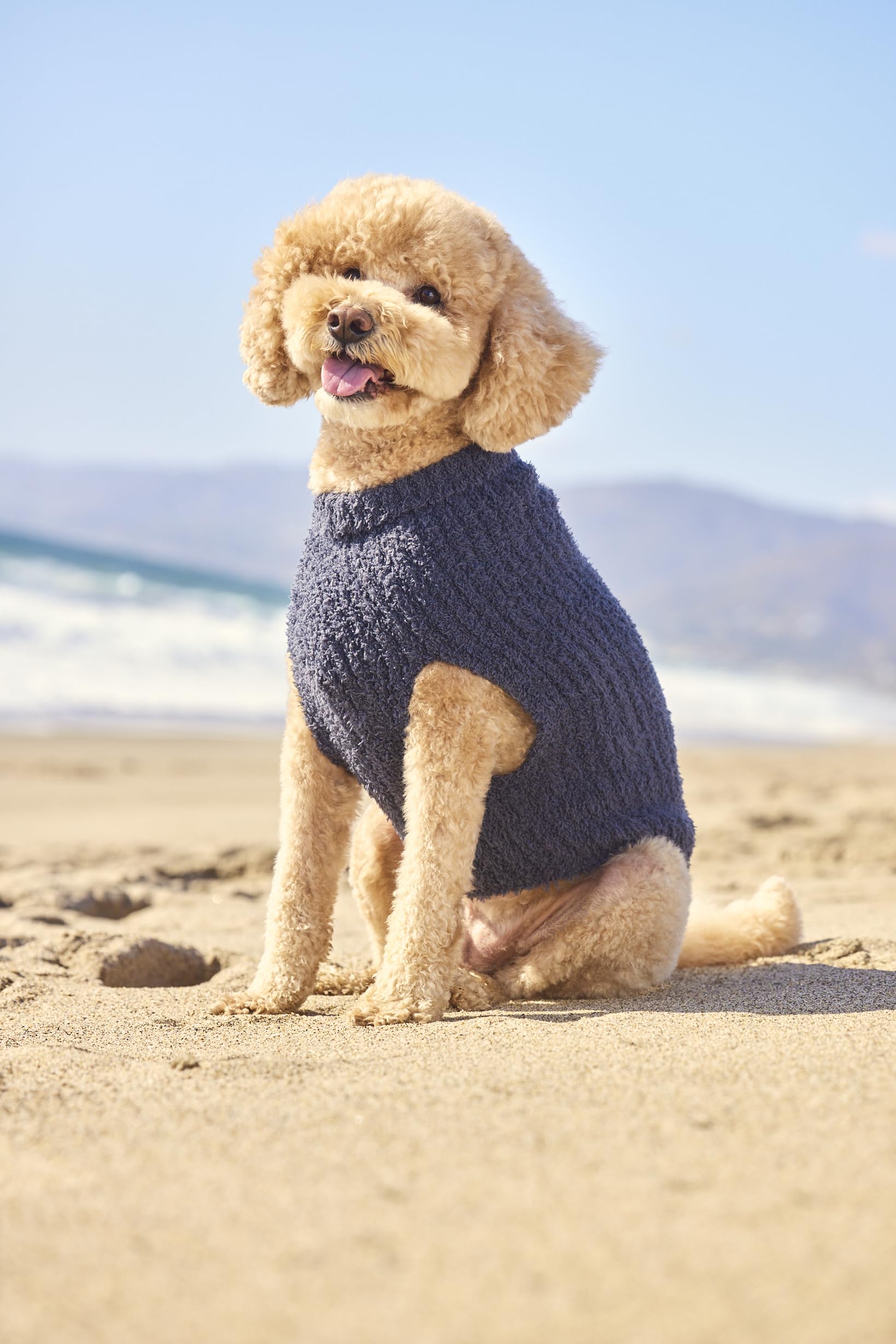 Barefoot Dreams CozyChic Hundepullover, gerippt, Schieferblau