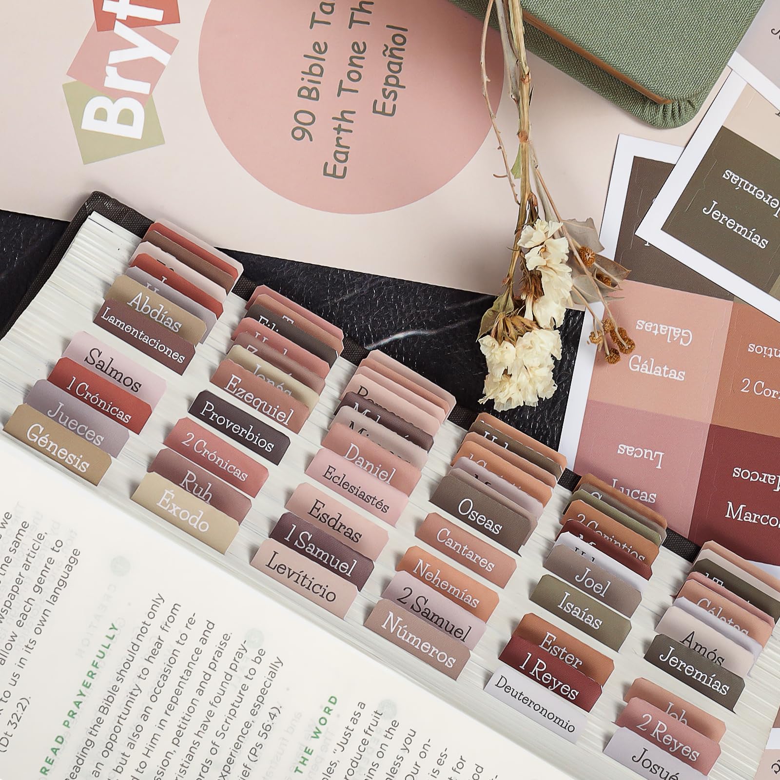 Snapklik.com : Spanish Earth Tone Bible Tabs, Large Print Laminated ...