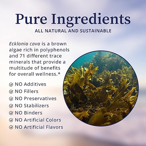 Miniatura 3 de BioPure PC-Ecklonia Cava - Potente extracto botánico de algas marrones rico en polifenoles y 71 oligominerales que apoyan la función neurológica, la