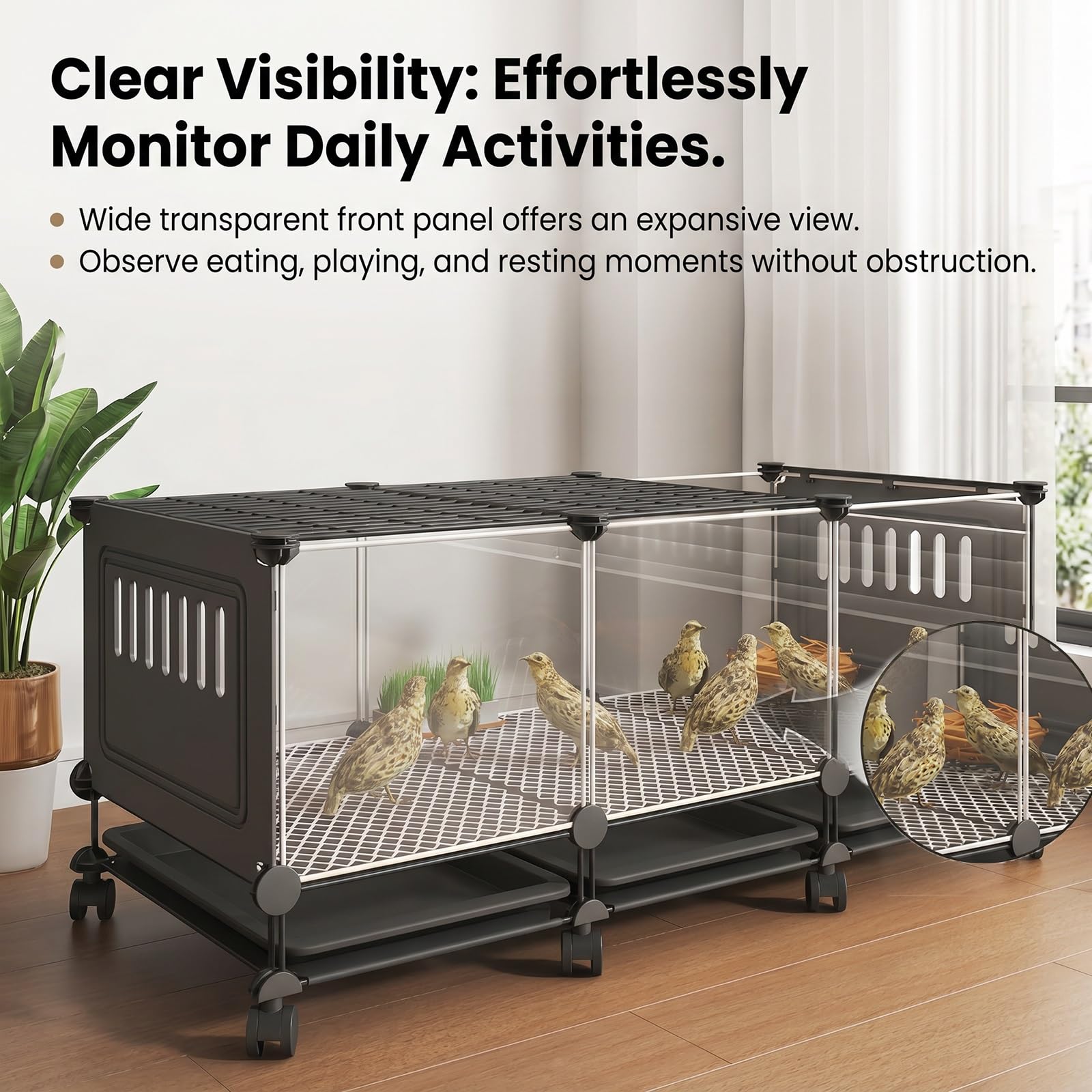 Jaula Grande para Animales pequeños, gallinero Transparente HD para Conejos y gallinas con Ruedas, Bandeja extraíble, Almohadillas Antideslizantes, Caja de cría para gallinas(Black,S)