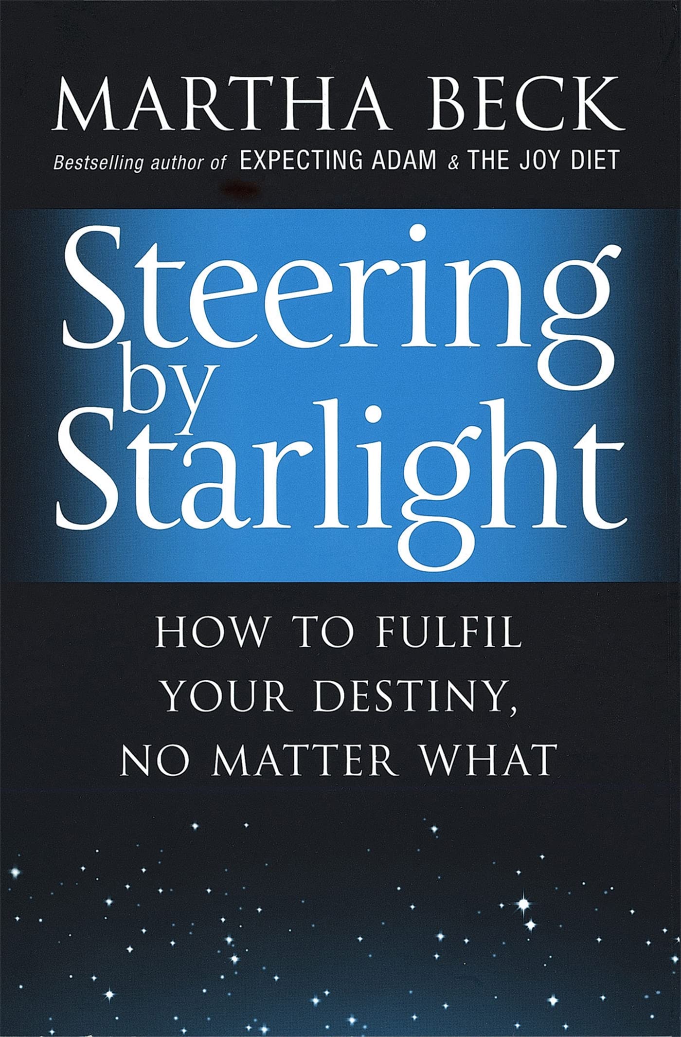 Steering by Starlight: How to Fulfil Your Destiny, No Matter What By Martha N.
