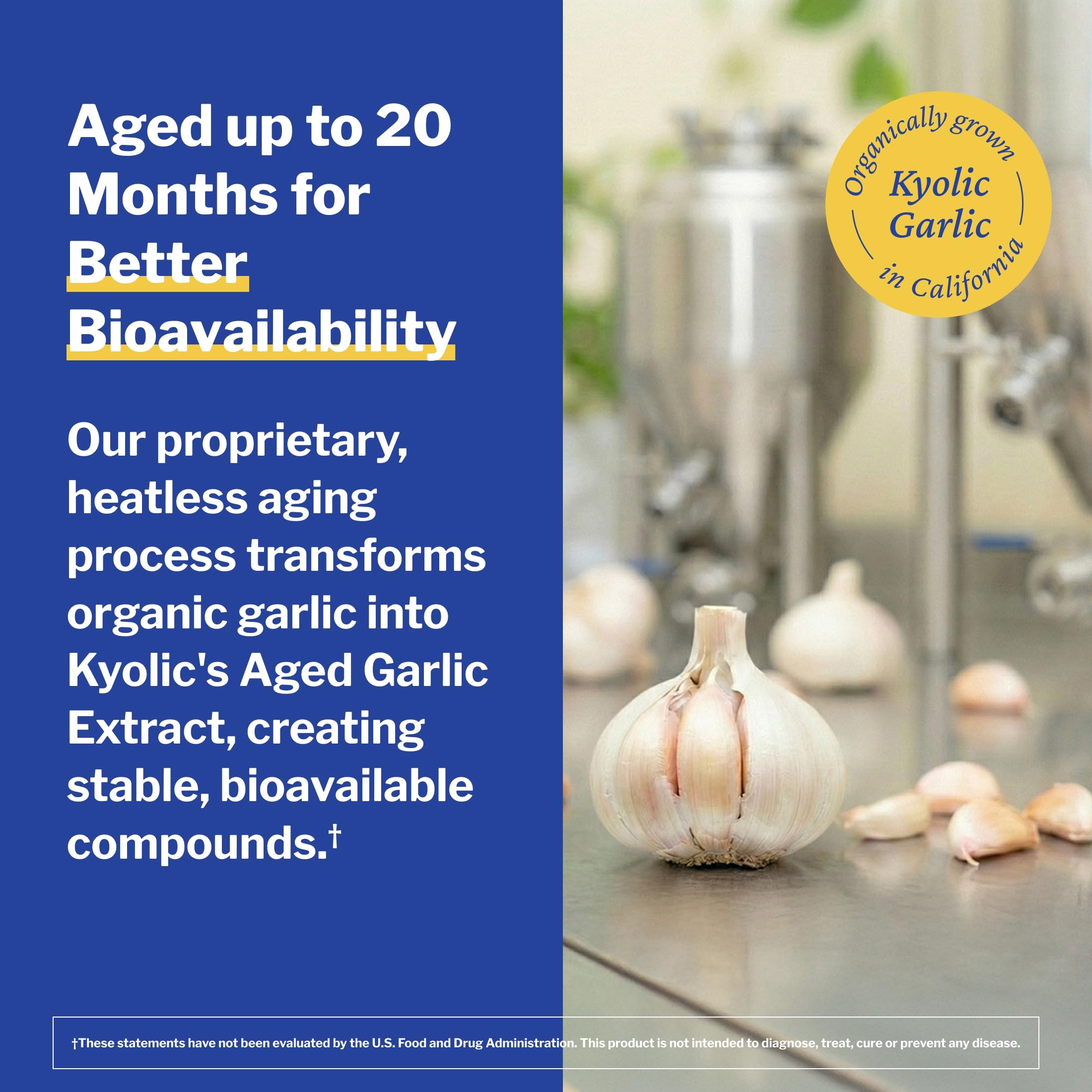 Kyolic Aged Garlic Extract Cholesterol Health* Formula 104, 100 Capsules — Amazon image 6