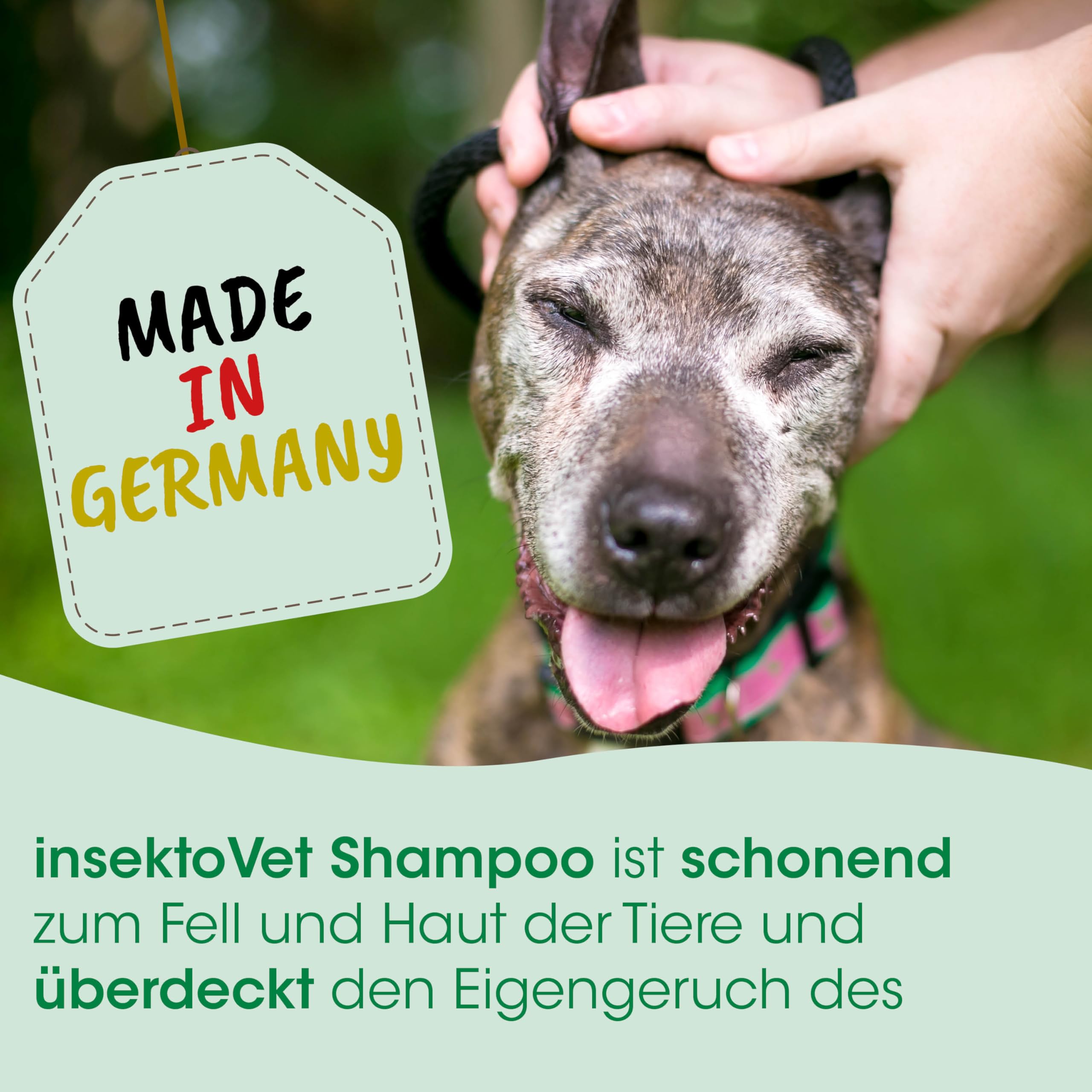cdVet insektoVet Shampoo schützender Repellent Insektenschutz für Hund und Katze – effektive und wohlriechende Fellpflege