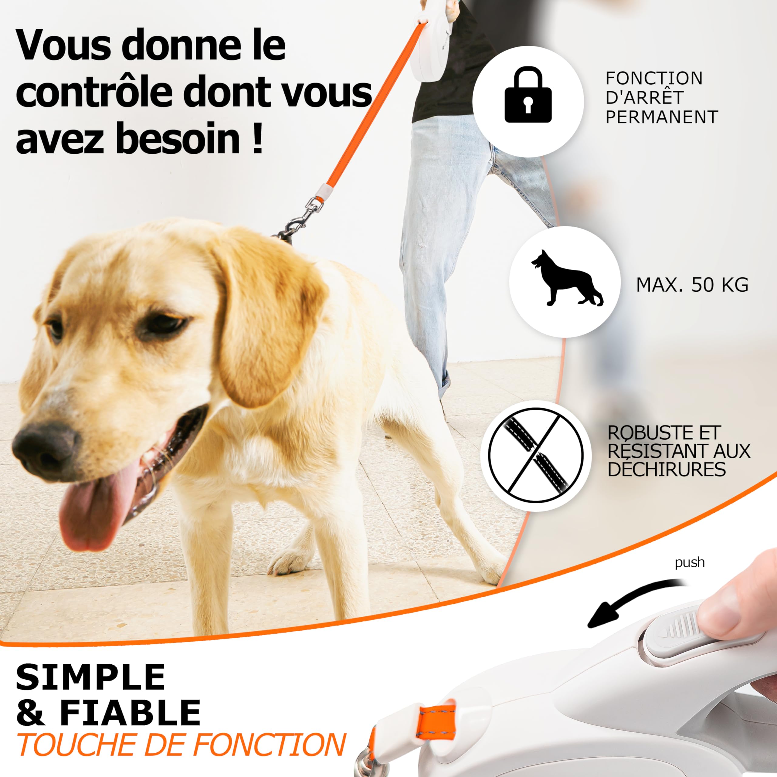 Laisse pour Chiens Grands jusqu'à 50kg, 8m Longue Longe Chien, Enrouleur de Sangle avec Orange Bande Lumineux et Mousqueton 360° Métal, Frein de Rétraction, Poignée Ergonomique, Blanc