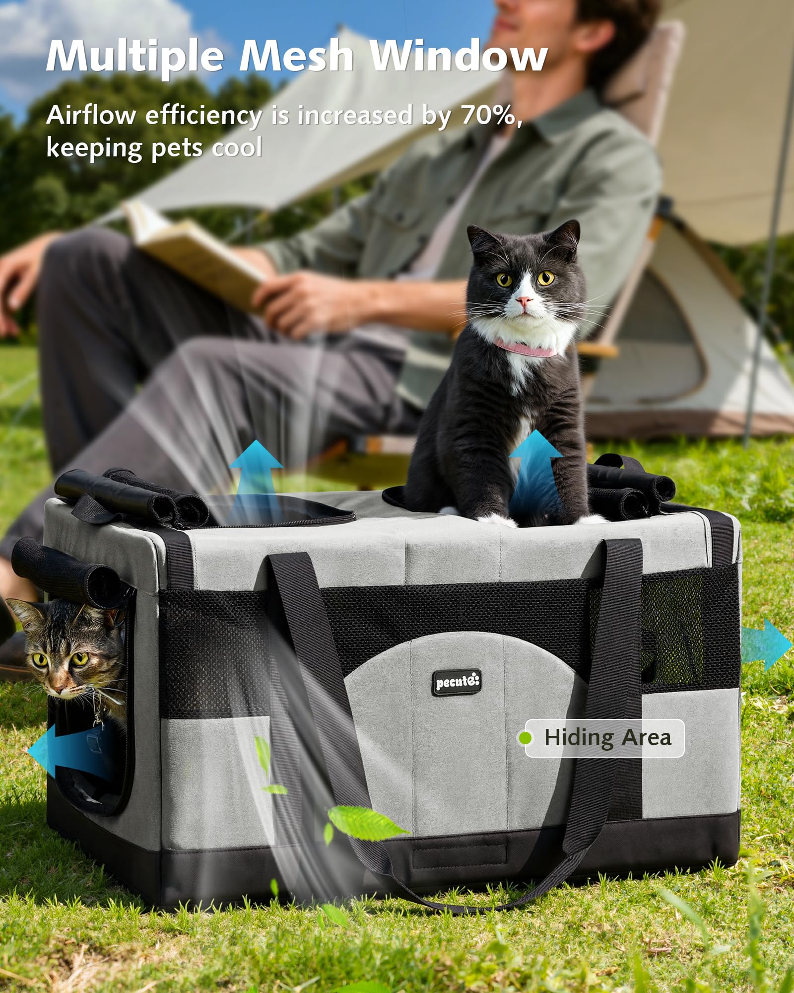 Pecute Transportín para Gatos con Doble Compartimento, ultraestable, Transpirable y Plegable, Ideal para Viajes, mudanzas y visitas al Veterinario, Gris
