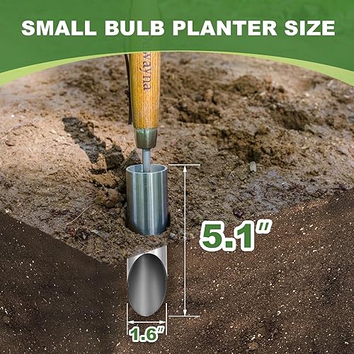 Miniatura 3 de Maceta de bombilla pequeña, maceta manual de 6 pulgadas de profundidad, maceta de acero inoxidable que no se dobla, trasplantadora de bulbos de