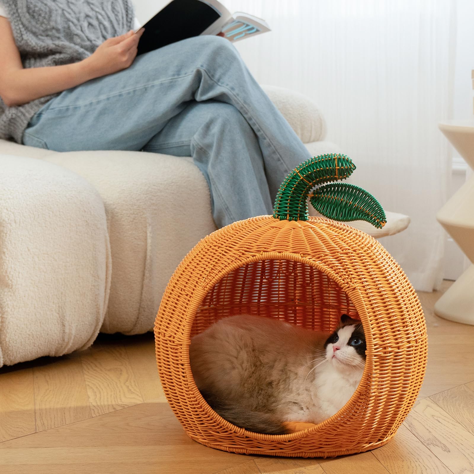 Amazon.co.jp: VETRESKA: ペット ベッド
