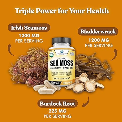 Miniatura 4 de American Standard Supplements Cápsulas orgánicas de musgo marino, vejiga y raíz de bardana, 1200 mg de musgo marino, 1200 mg de vejiga, 225 mg de