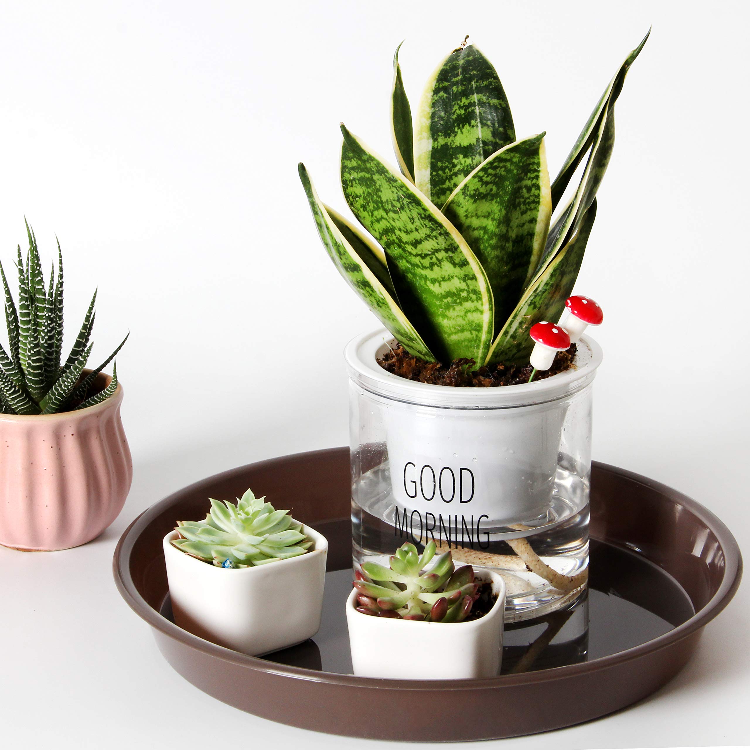 Piatto di plastica 55cm rettangolare. Vaso per Gardenia 58cm 509 059