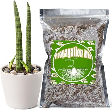 Doter Plant Propagation Potting Mix 2qt, Suitable for Rooting Plant Cuttings, Enhances Rooting by Providing Optimal Aeration and Drainage