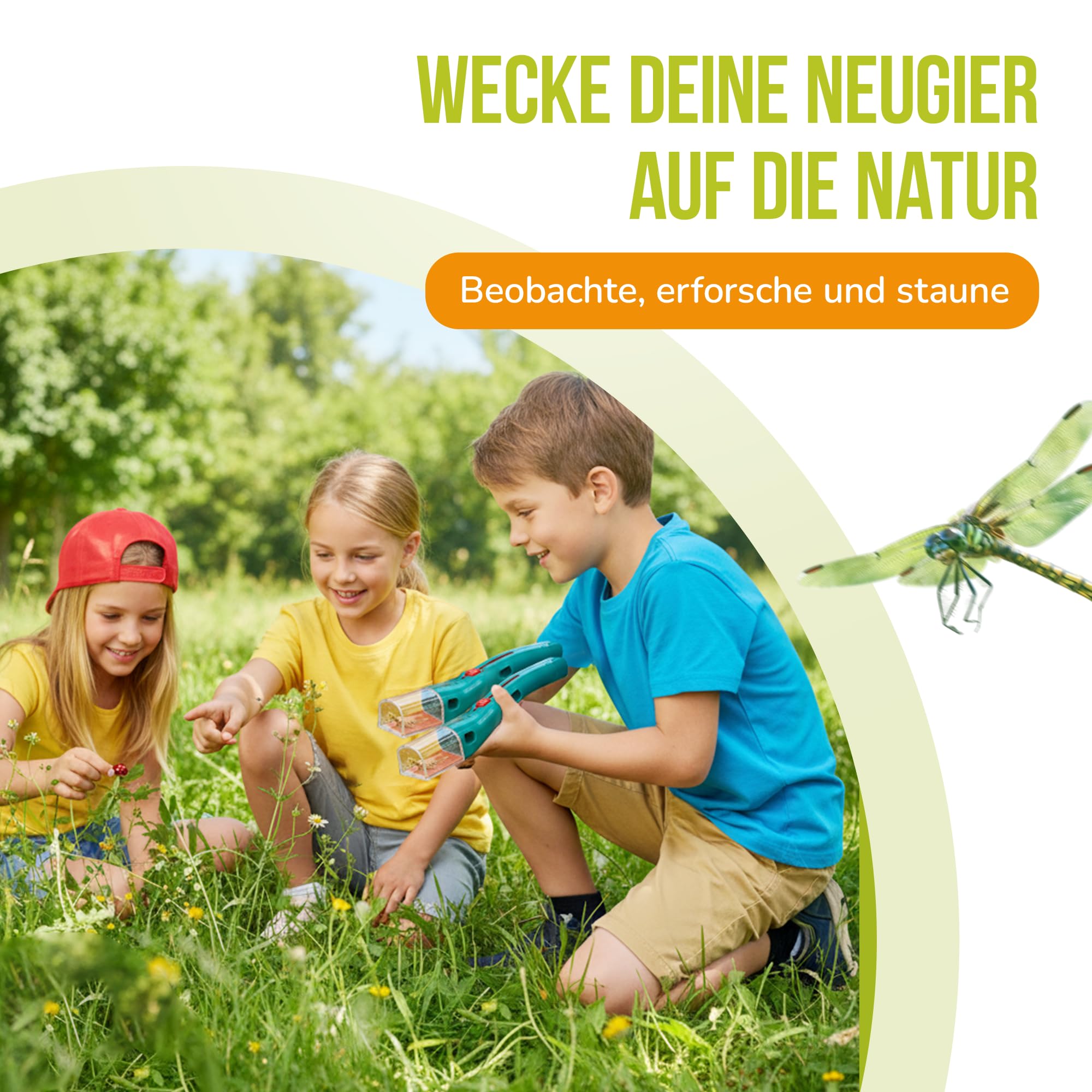 Galileo Lab Insekten Beobachtungs-Station - Forschungsstation für Insekten, Raupen & Schmetterlinge, mit Zubehör - Für Kinder ab 7 Jahren - 59460 von Clementoni