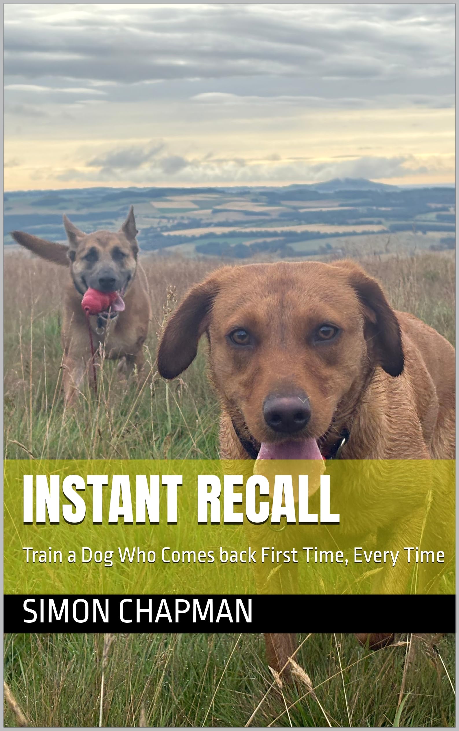 Instant Recall : Train a Dog Who Comes back First Time, Every Time