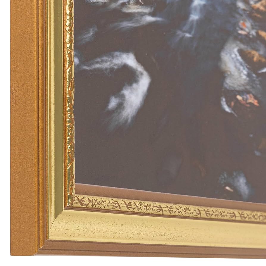 豪華木製ゴールド額　外寸約923×770mm　内寸約724×567mm 豪華木製ゴールド額 外寸約923×770mm 内寸約724×567mm