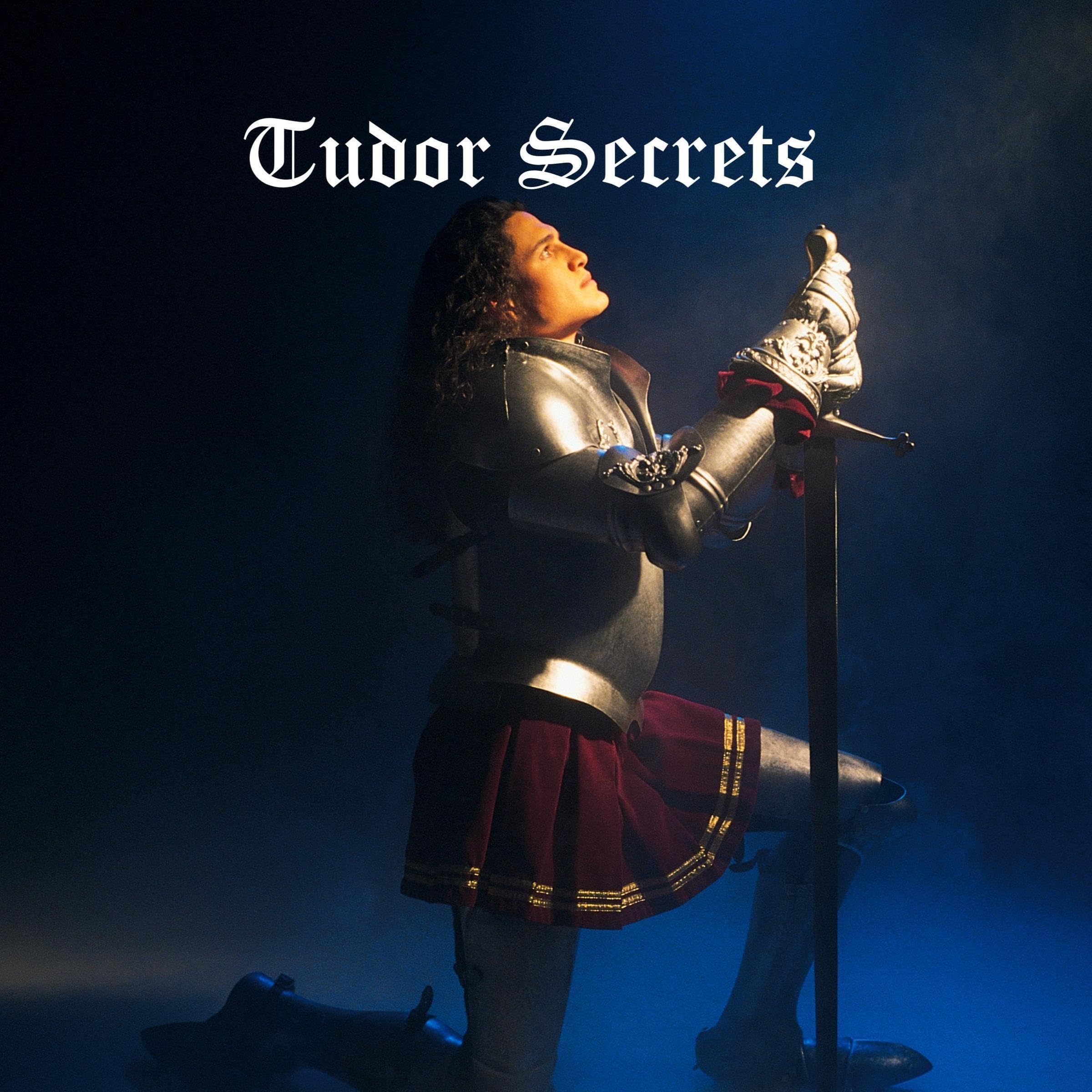 Cover art for Tudor Secrets