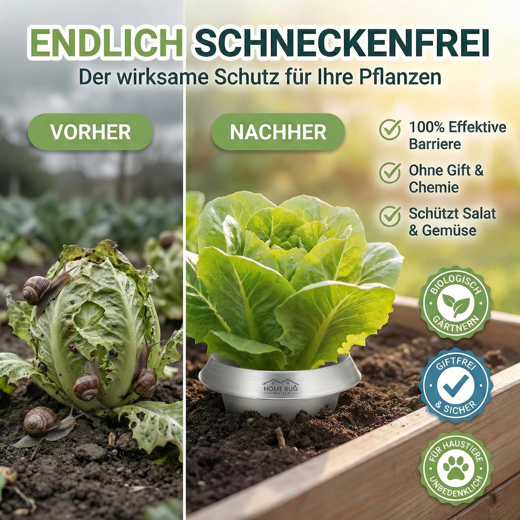 Schneckenkragen aus Metall – effektiver Schneckenschutz für Hochbeet, Garten & Gemüsebeet – galvanisiert & wiederverwendbar – Schneckenschutzring