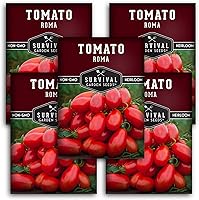 Vista 12 de Semillas de tomate Roma para plantar, variedad de tomate de pasta de reliquia determinada para salsa y enlatado, tomates Roma italianos productivos