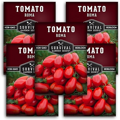 Miniatura 12 de Semillas de tomate Roma para plantar, variedad de tomate de pasta de reliquia determinada para salsa y enlatado, tomates Roma italianos productivos,
