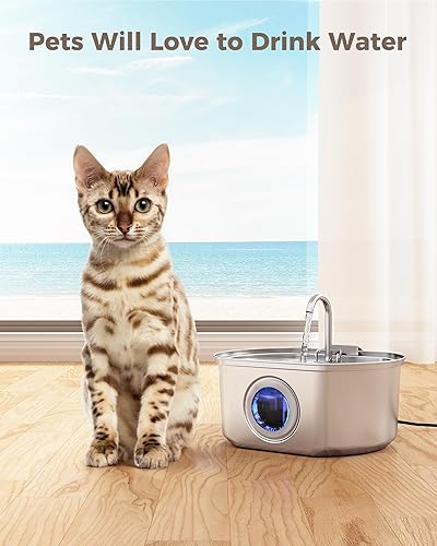 Miniatura 7 de Paquete de 8 filtros oficiales de repuesto para fuentes de agua para gatos y esponjas de prefiltro para fuente de agua para mascotas de acero