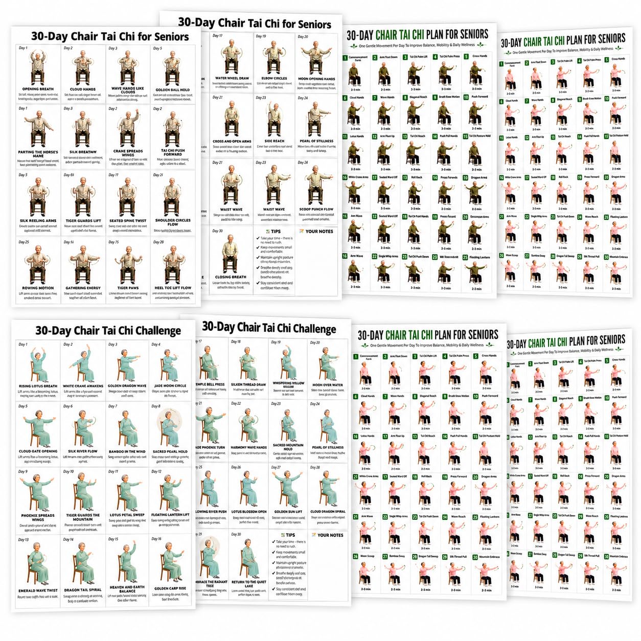 8 Tai Chi for Seniors Charts, 25.4 x 20.3 cm Unframed Coated Paper Set