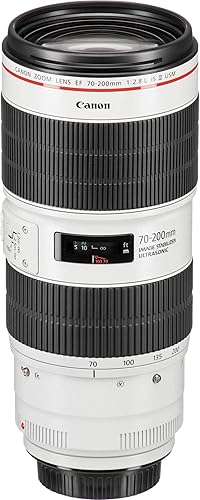 Vista 4 de Canon Lente EF 2.756-7.874 in f/2.8L is III USM para cámaras SLR digitales Canon (renovado)