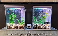 Review Image by Kristen Baldwin Kristen Baldwin