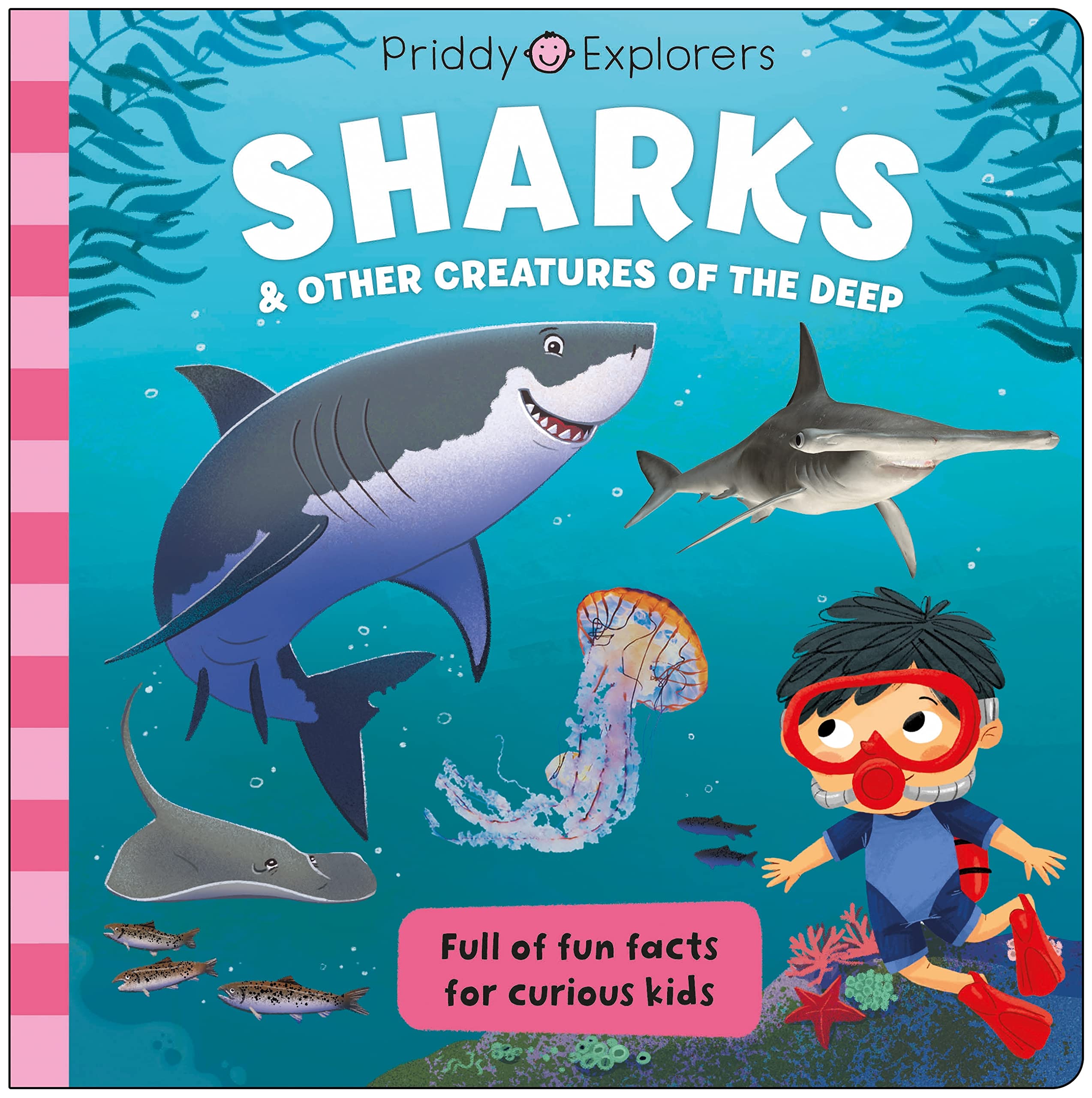 Priddy Explorers Sharks