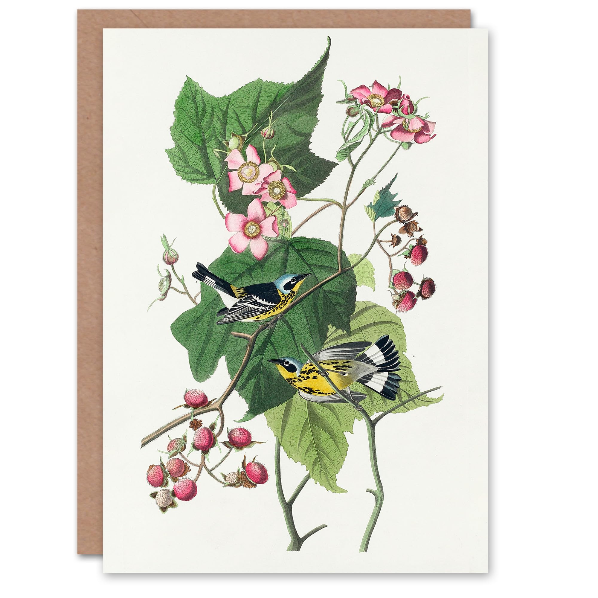 Artery8 John James Audubon Art Card Black and Yellow Warblers