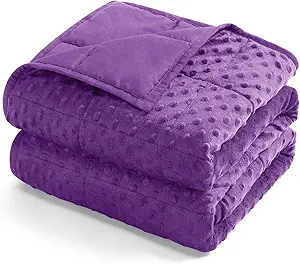 Kivik Minky Dot Weighted Blanket for Adults, 15 lbs Breathable Heavy Throw Blankets, Ultra Soft Cooling Weighted Comforter, Machine Washable, 48"x72" Twin, Purple