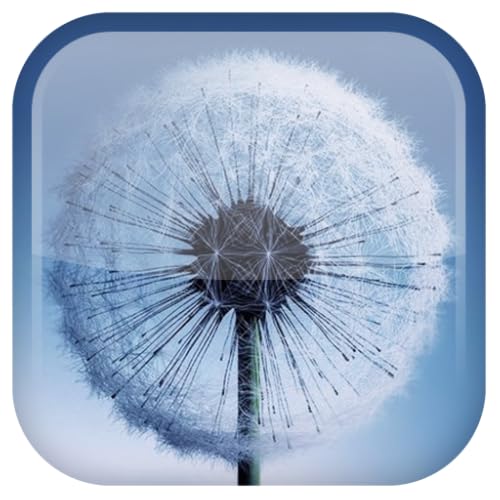 S3/S5 Dandelion Live Wallpaper - //medicalbooks.filipinodoctors.org