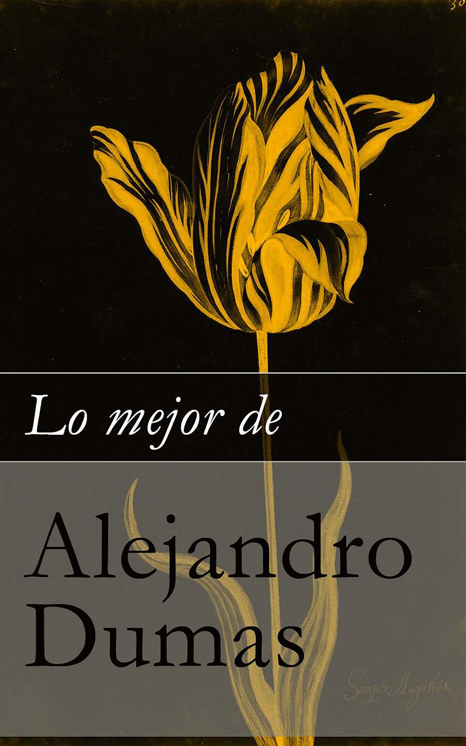Lo mejor de Alejandro Dumas (Spanish Edition)