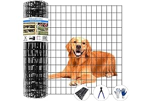 Premium Black Wire Fence for Enhanced Security
